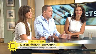 Segerfeldt Finns inga skäl att handla svenskt kött  Nyhetsmorgon TV4 [upl. by Adalia]