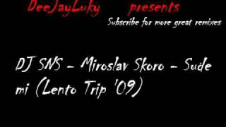 Miroslav Skoro  Sude miDj SNS Lento Trip 09 Remix [upl. by Cappello394]