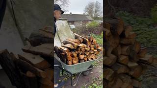 Hauling 500 kg of Firewood by Wheelbarrow – Unbelievable Feat [upl. by Shelba]