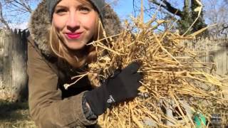 How to Build a Winter Shelter for Cats [upl. by Joane575]