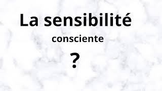 3AC La sensibilité consciente résumé de cours [upl. by Eatnohs916]