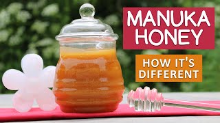 Manuka Honey Benefits  The Superfood from New Zealand [upl. by Lacey623]