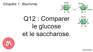 Chapitre 1  Biochimie  Q12  Comparer le glucose et le saccharose [upl. by Lillywhite]