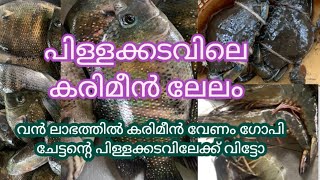 കരിമീൻ ലേലം karimeen lelam pillakadavile lelam പിളക്കടവ് [upl. by Ynnos]