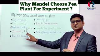 Why Mendel Choose Pea Plant for his Experiment  Heredity And Evolution  Class 10  Genetics [upl. by Horn]