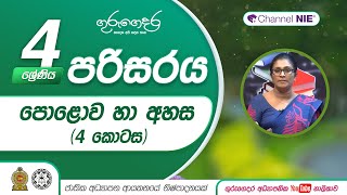 පොළොව හා අහස 4 පරිසරය ආශ්‍රිත ක්‍රියාකාරකම් 04 ශ්‍රේණිය  පරිසරය [upl. by Adolfo]