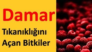 Damar Tıkanıklığını Açan Bitkiler [upl. by Hnad]