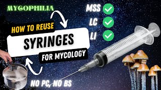 Easiest Way to Reuse Syringes in Mycology Spore Syringe Liquid Culture Liquid Inoculant etc [upl. by Stargell359]