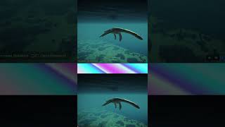 Ancient Marine Reptiles in Jurassic World Evolution 2 [upl. by Erastatus792]