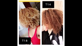 Toning my blonde ORANGE curly hair with Wella T14 [upl. by Lenra90]