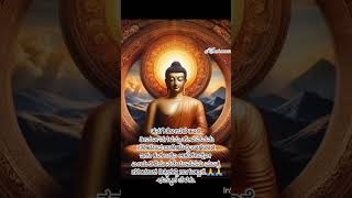 Buddha status in Kannada [upl. by Marji]