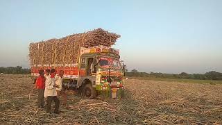 TATA 2515 Radhaशुगर केन ट्रक Rowdy Driver Krishna Rathod by Fabtech Sugar  Mangalvedha [upl. by Hcra]