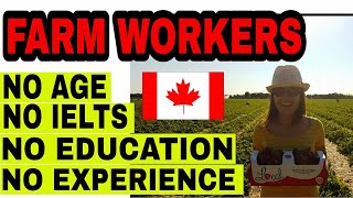 CANADA NEEDS FARMERS  DIRECT HIRE [upl. by Nosmas951]