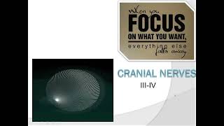 2nd Cranial Nerve amp 3rd Cranial Nerve [upl. by Thurnau]