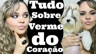 Verme Do Coração Em CachorrosCães O Que é Sintomas Tratamento Prevenção ● Lói Cúrcio [upl. by Hijoung10]