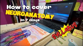 NEUROSCIENCE How to cover Neuroanatomy in 1 DAY anatomy brainless neuroscience [upl. by Georas]