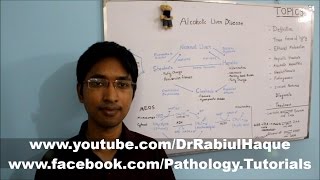 Alcoholic Liver Disease Part 1 HD [upl. by Nerreg]