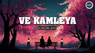 Ve Kamleya Slowed  Reverb  Arijit Singh Shreya Ghoshal [upl. by Leinad]