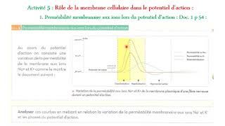 Perméabilité membranaire aux ions lors du potentiel daction [upl. by Immat586]