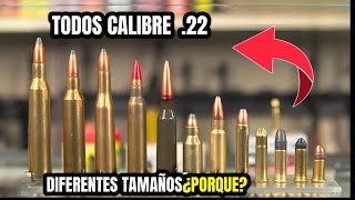 Todos los TIPOS de Cartucho Calibre 22 Del mas débil al mas poderoso [upl. by Ferreby491]