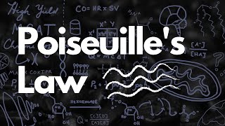 Poiseuilles Law  What is Laminar and Turbulent Flow  MCAT [upl. by Lin937]