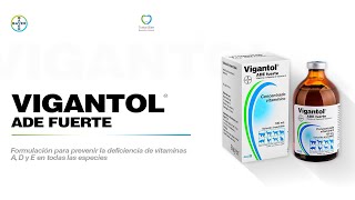 En Voz Del Experto Bayer Uso de Vigantol ADE fuerte en protocolo de empadre [upl. by Bouley]