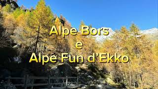 Alpe Bors 1830m e Alpe Fun d’Ekko 2070m  Alagna Valsesia Vc  in Valsesia 31102024 [upl. by Aneehta]