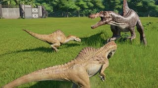 2 Spinoraptor VS Spinosaurus  Jurassic World Evolution [upl. by Esli]