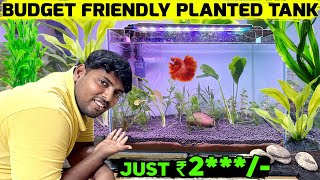 Easy Planted Tank Setup in Tamil  Explore the Wonders of My Planted Tank Aquarium  Muralis Vlog [upl. by Wiedmann]