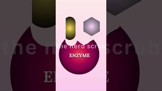 Enzyme Kinetics Biological Catalysts shortvideo shorts viralshorts enzymes [upl. by Udella]