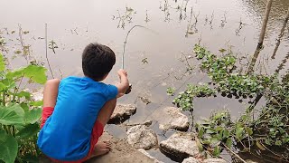 Amazing boy hook fishing video  Fishing cat fish  I use atta for fishing  Indianboyfishing [upl. by Jed]