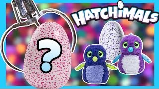 ★Winning Hatchimals Eggs From The Claw Machine UnboxingReview  ClawTuber [upl. by Bohner97]