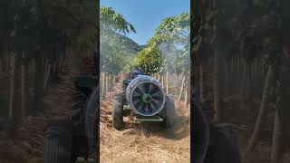 🤩 ¡Entregando y demostrando turbina de 28quot para papaya🤠 Garantizamos la calidad en tu campo 🌱💪 [upl. by Eenal]