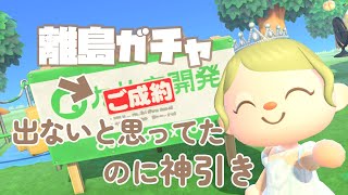 【あつ森】確率低すぎて出ないと思ってたのにまさかの神引き離島ガチャ推し住民を探す旅【AnimalCrossingACNHNintendo】 [upl. by Harbison]