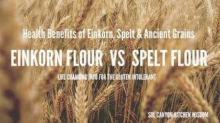 What is Einkorn Flour  Einkorn Flour vs Spelt Flour  Health Benefits of Ancient Grain Flours [upl. by Gerhardine]