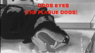 The Plague Dogs Dogs eyes [upl. by Lagas]