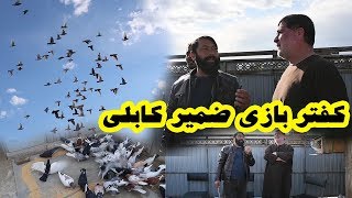 Zamir Kabuli  کفتر بازی ضمیر کابلی در روز قرنطین  خنده کو [upl. by Eleirbag]