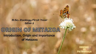 Origin of Metazoan  BSc Zoology Sem 1  Chapter 4  Full Chapter Explained [upl. by Nitsirc]