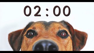 2 Minute Timer for School and Homework  Dog Bark Alarm Sound [upl. by Valtin564]