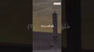 Surah Rahman  QariMisharyRashidAlafasy  Beautiful Recitation [upl. by Akitahs]