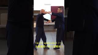 The Power of Taoist Taijiquans No 1 Movement with Our StepbyStep Application Tutorial 道家太极动作解析1 [upl. by Aimat763]