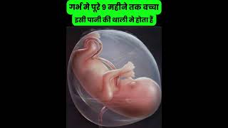 गर्भ मे पूरे 1 महीने तक बच्चा इसी पानी की थाली मे होता हैं pregnancytips pregnancytipsinhindi [upl. by Krongold557]