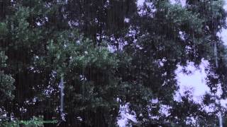 lluvia ultra relajante para dormir Dormir profundo Lluvia Sonidos 30 minutos [upl. by Gassman]