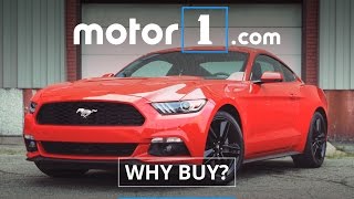 Why Buy  2016 Ford Mustang Ecoboost Review [upl. by Ayifa]