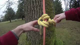 How to tie a blakes hitch for tree climbing [upl. by Annoid994]