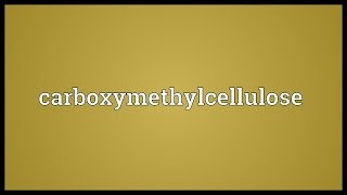 Carboxymethylcellulose Meaning [upl. by Mel]