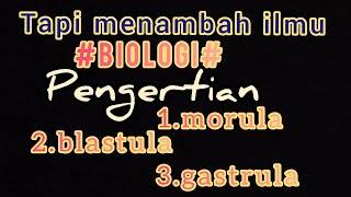 vlog tapi bermanfaatbiologi  pengertian Morula blastula gastrula [upl. by Ramon]