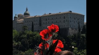 I papaveri rossi di Montecasisno  Czerwone maki na Monte Cassino [upl. by Prober]