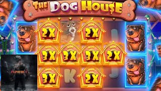 The dog house megaways max win [upl. by Massie896]