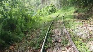 Trenes de Colombia  Recorrido Caracolí  Monos  Pavas en Motorodillo  Ferrocarril de Antrioquia [upl. by Ahsenauj935]